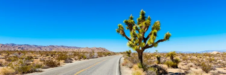 La Californie à l’état sauvage